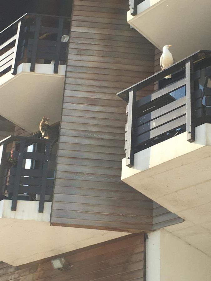 Mon Balcon Face A La Mer - Les Marinas Deauville Kültér fotó